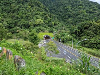 High angle view of bridge amidst trees in forest