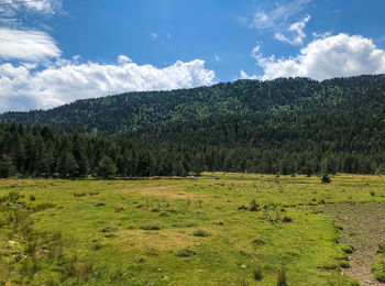 Scenic view of landscape against sky