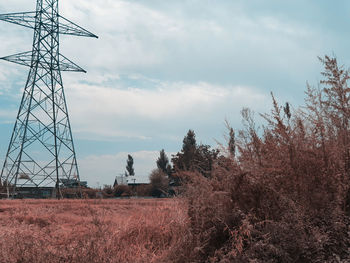 Plants growing on land against sky