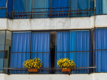 Flower pots in balcony of building