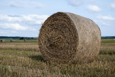 Pressing hay into a roll on a field on a sunny day with clouds.