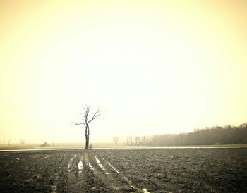 Scenic view of field against sky at sunset