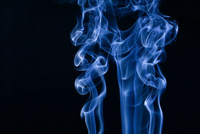 Close-up of jellyfish against black background