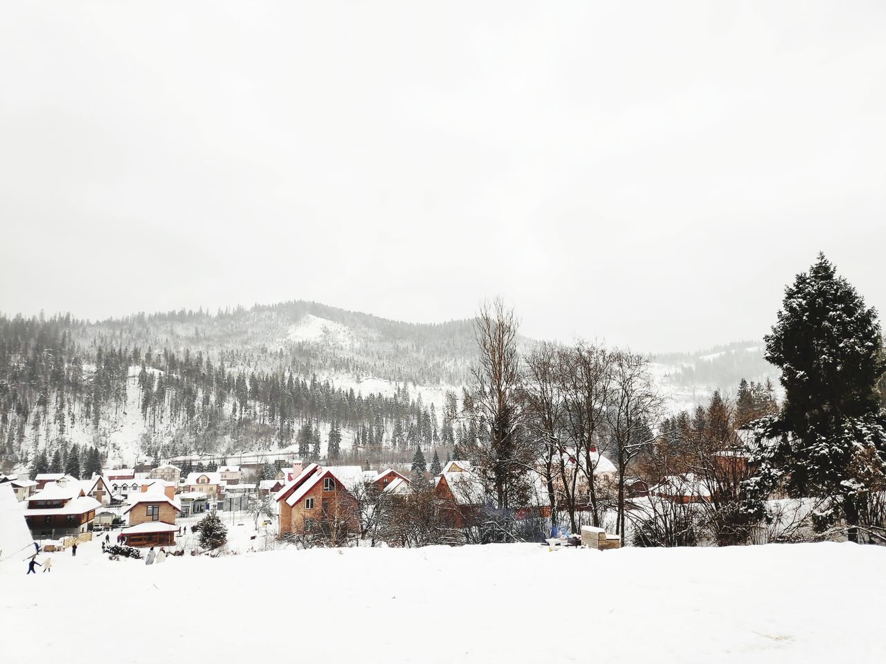 snow, cold temperature, winter, architecture, tree, building exterior, built structure, building, sky, house, plant, mountain, nature, environment, scenics - nature, landscape, day, no people, land, outdoors, cottage, snowcapped mountain