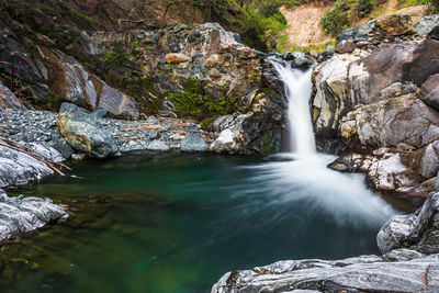 Scenic view of waterfall in forest