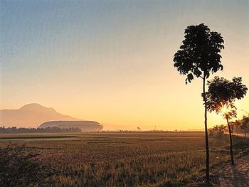 Scenic view of field against sky at sunset