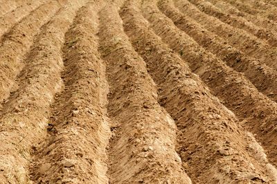 Full frame shot of agricultural field