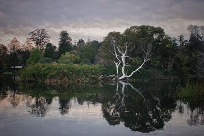 Reflection of trees in lake against sky