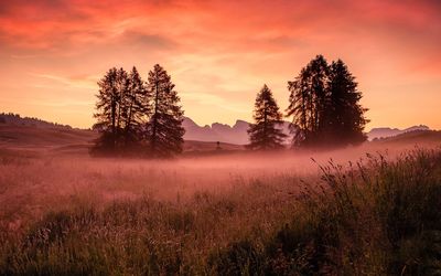 Scenic view of field against sky during sunset