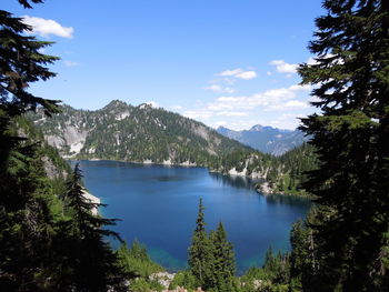 Scenic view of lake in forest against sky