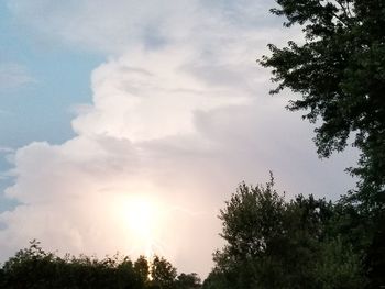 Low angle view of silhouette trees against sky