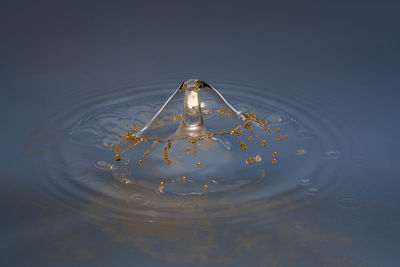 Close-up of rippled water