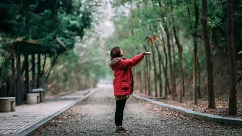 Rear view of woman standing in forest