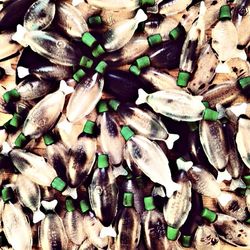 Close-up of food in the dark