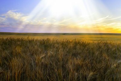 Scenic view of field against cloudy sky