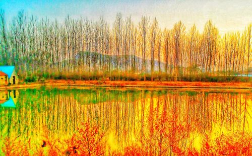 Scenic view of lake in forest