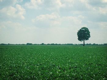 Scenic view of field against cloudy sky