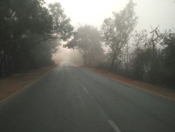 Empty road along trees