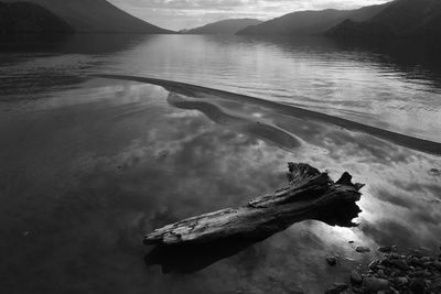 High angle view of driftwood on beach