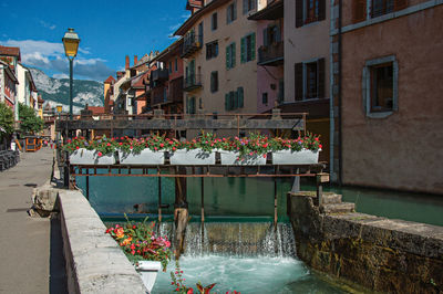 Vases with colorful flowers and buildings in front of canal at annecy, france.