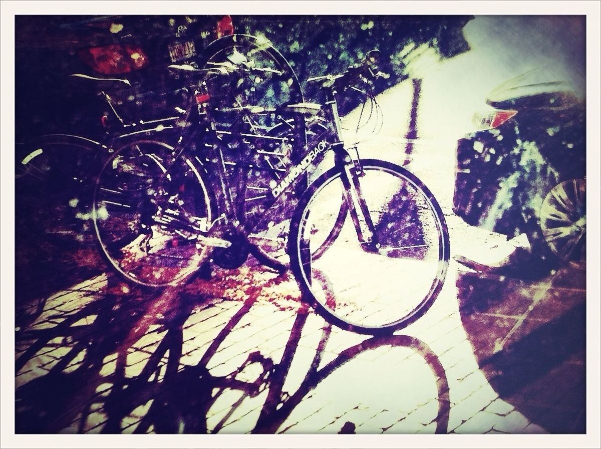 bicycle, transfer print, land vehicle, auto post production filter, transportation, mode of transport, stationary, parked, parking, street, shadow, tree, sunlight, outdoors, day, no people, plant, growth, nature, wheel