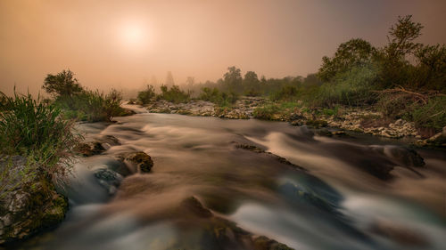 Surface level of water flowing in forest against sky during sunset