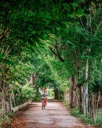 Rear view of man walking on footpath amidst trees