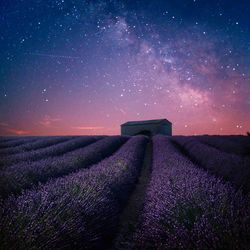 Scenic view of field against sky at night