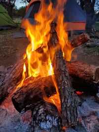 Spring campfire 