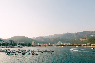 Boats in marina against clear sky