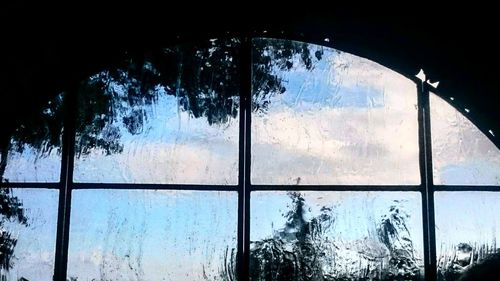 Low angle view of trees against sky during rainy season