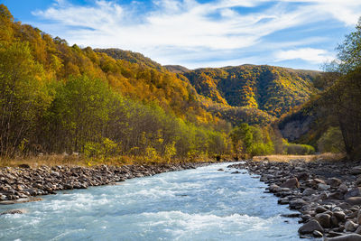 Autumn in a mountain gorge. mountain river