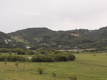 Scenic view of landscape against sky