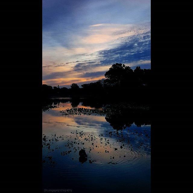 silhouette, water, sky, sunset, scenics, tranquil scene, tranquility, lake, reflection, beauty in nature, tree, animal themes, nature, cloud - sky, idyllic, cloud, dusk, bird, calm, river