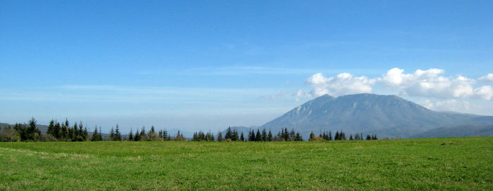 Scenic view of field and mountains against blue sky