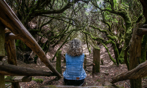 Rear view of woman walking in forest