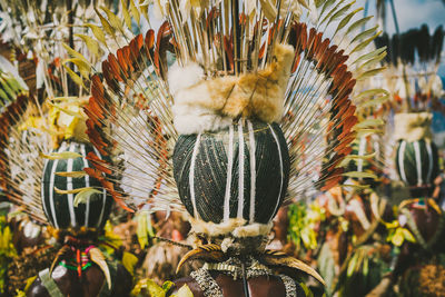 Close-up of feather hanging