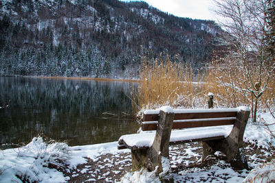 Snow covered bench by lake against trees during winter