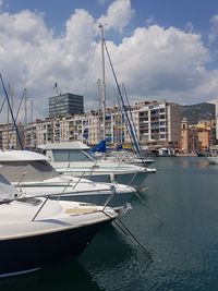 Sailboats moored at harbor