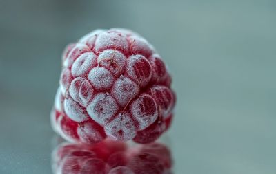 Close-up of berry against blue background