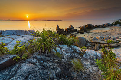 Scenic view of sea against sky during sunset