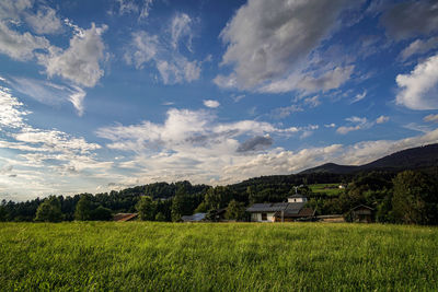 Scenic view of field against sky