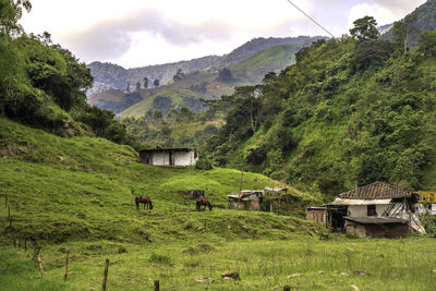 Scenic view of field and mountains against sky