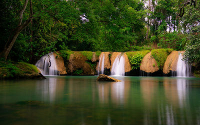 Scenic view of waterfalls in forest