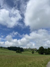 Scenic view of field against sky