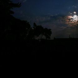 Silhouette trees on landscape against sky at night