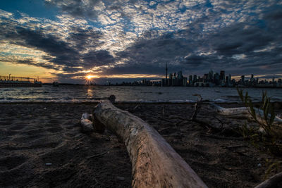 Driftwood on beach against sky during sunset