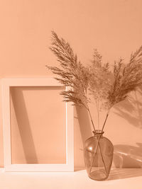 Close-up of potted plant against wall