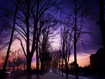 Bare trees against sky at sunset