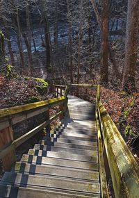 Footbridge leading to wooden walkway